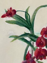 Lot of 5 watercolor floral unsigned Albert Matysek Vet WWll – 3471