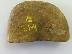 HAND PAINTED RIVER STONE ART „Fox w saying “ by Yellow Paw Collectible Rocks