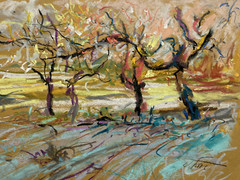 Orchard Landscape Original Pastel Painting Dorothy Laz