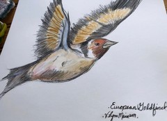 Original Watercolor Goldfinch Painting: Whimsical Bird Nature Art, 8×8 inches