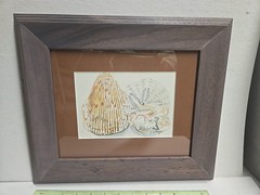 Framed Original Watercolor Painting Seashells 12×14 Beach Cottage