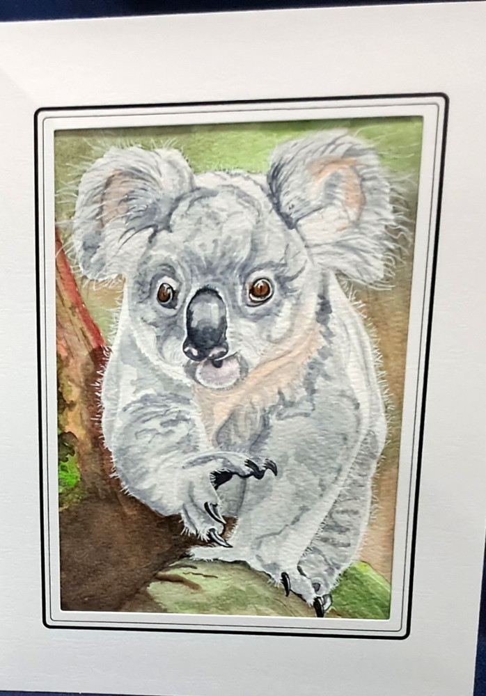 Australian Koala 7″ x 5″ Original watercolor comes in acid free sleeve
