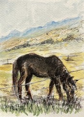 Original Watercolor Ink Painting Ranch Horse Remington Inspired Western Art CoA