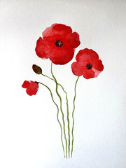 California Poppies Original Watercolor Painting Red Poppies Floral Art 3