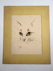 Vintage Original Cat Watercolor Painting Yellow Eyes Signed Beverly Art 10×13