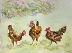 Watercolor Painting Original Chicken Birds Wall Art. 9×12 Farm Animal Wall Decor