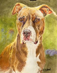 ✨CUSTOM ✨ Hand Painted Pet Portrait; Pastel, Acrylic, Water or Graphite Any size