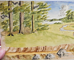 Original Watercolor Painting of Landscape with Tall Trees 6 x 9 Inches