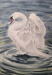 BIRDS SNOWY WHITE SWAN Original Arts Painting Landscape National Park CA LOVE A4