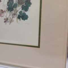 Columbine Flowers by artist Mads Stage Framed 16×20 Watercolor Style Butterfly