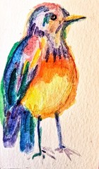 Colorfu Bird art Original watercolor painting Signed,bird lover Best gift 2×3.6