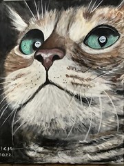 Original acrylic painting Preety Cat on canvas 16x20x0.5 in decor