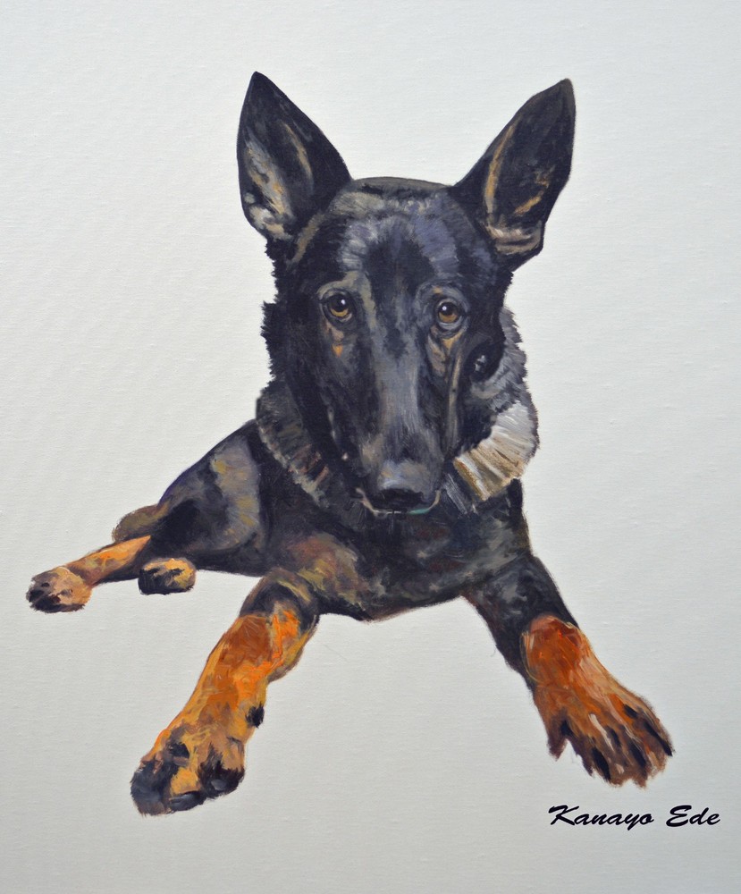 Acrylic on canvas dog portrait. Original art