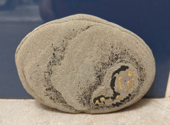 Pet Rock Hand Painted Rock Art Gag Gift Cat