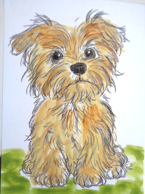 ACEO Cute LITTLE TERRIER DOG Painting Art