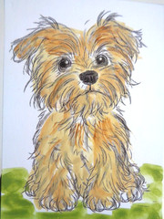 ACEO Cute LITTLE TERRIER DOG Painting Art