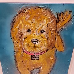 Labradoodle Original Oil Painting Pop Art Abstract Labrador Lauren Meredith