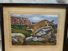 Pair Gouache Paper Painting Mountain Lion / Cougar 6.5 x 9.5 in Vintage