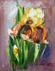 Iris Flowers Still Life Oil Painting Impressionist Dorothy Laz COA