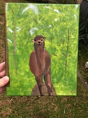 acrylic paintings original by artist on canvas Alpaca