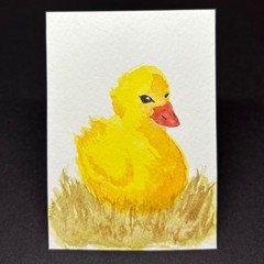 ACEO Original Art Card – Hand Painted & Drawn – 2.5″ x 3.5″ — Duck