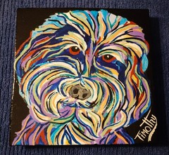 Original Acrylic Painting „Mr Cuddly“ 8″ X 8″ By Timothy Designs