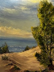 Signed Oil Painting – Coastal Dunes Landscape – Professionally Framed 22X26