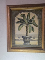 Large Oil on canvas, signed lower right R Wilcox. Framing. 19 X 16 In.