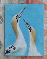 Original 9 x 12 Expressive Northern Gannets Birds Acrylic on Canvas Painting