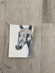 Aceo By Kenna Horse Watercolour & Gouache Painting 2.5” X 3.5” Signed Original