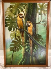 Framed Oil Canvas painting of two multi-color parrots in jungle 27 x 39 inches