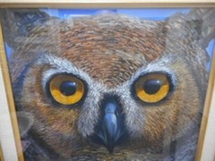 Charles Lynn Bragg – Owl Unique Original Acrylic Painting Signed Framed