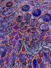 Rachael Nambula. Authentic Aboriginal Art. Size 120cm x 60cm,Pencil Yam