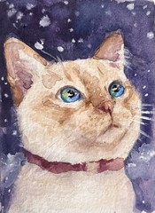 ACEO 100% Hand Painted Original Mixed Media Painting Art Cat