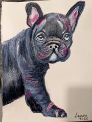French Bulldog Acrylic Art Painting On Paper Signed