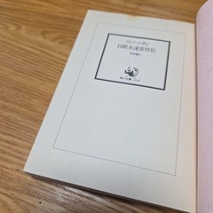 Yayoi Kusama Manhattan Suicide Attempt Paperback Book, Good Condition, Japanese