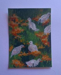 ACEO Original Gouache White ducks in Flower Field Mini Painting „2,5 x 3,5“