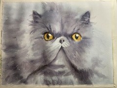 Gray Persian Cat painting Made to order Original watercolor cute pet portrait