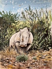 Original Watercolor Painting African Rhinoceros 9″ X 12″ NOT A PRINT