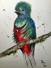 Quetzal Bird – Original Watercolor Painting A5 Handmade Artwork on Professional-