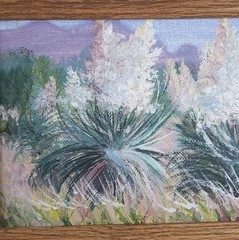 VTG Original Oil On Board In Wood Frame Arizona Landscape Yucca In Bloom Signed