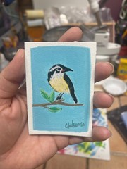 aceo art card original of little bird 2