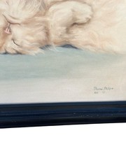 Vtg Signed 1982 White Fluffy Cat Sleeping on Back Framed Oil Painting 24×20