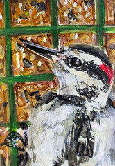 ORIGINAL ACEO PAINTING Hairy WOODPECKER Spring BIRD Suet Animal Nature ATC ART