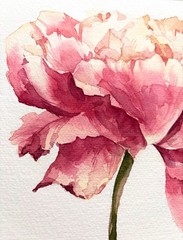 Original Watercolor Painting „Peony Bloom“21×30 cm,8.3×11.7 in