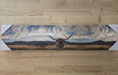 28in X 6in Longhorn In Meadow
