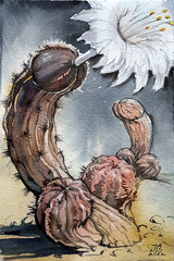 Art Gay Erotic Watercolor „Cocktus“ ( flower, humor ) 11,6-7,9 in.I.Bubentcov