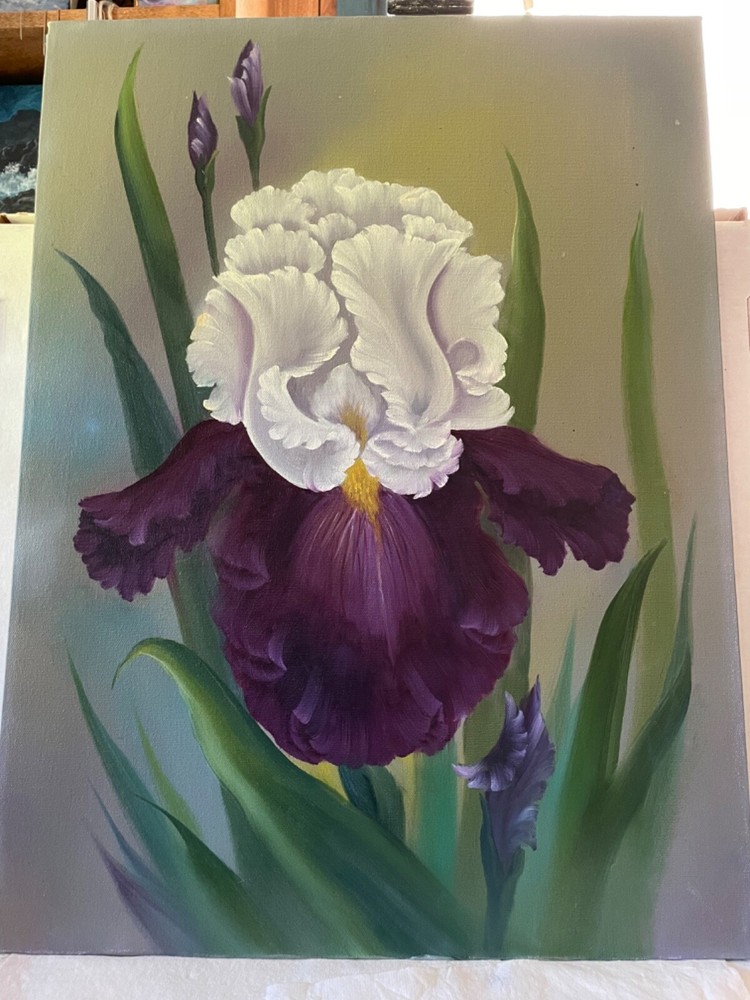 18 x 24 Original Oil Painting on Canvas….“Purple Iris“