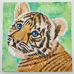 Baby Tiger Cub Painting 4×4 Inches Outside Art Big Cats Felines Tigress