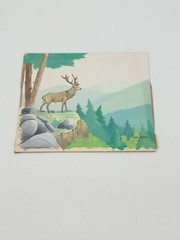 Heinz A.S.Kropp Original Artwork, Nature, Animal